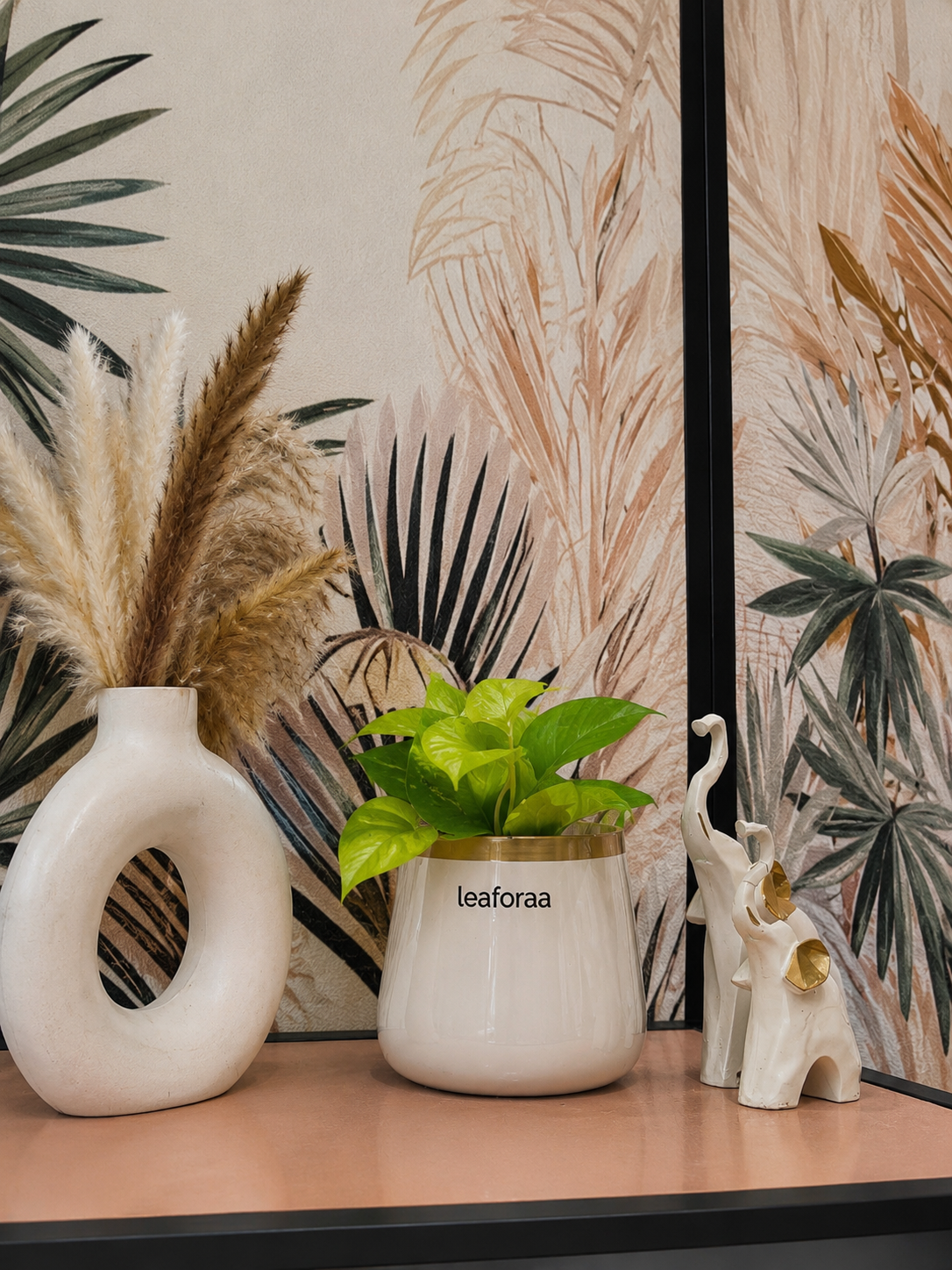 Golden Money Plant