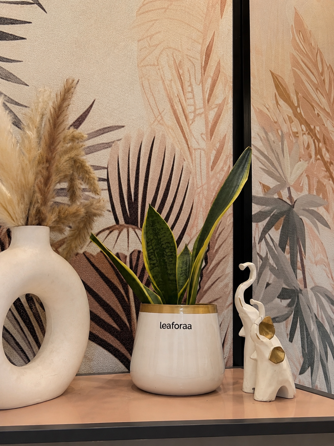 Sansevieria Green Snake Air Purifier Plant