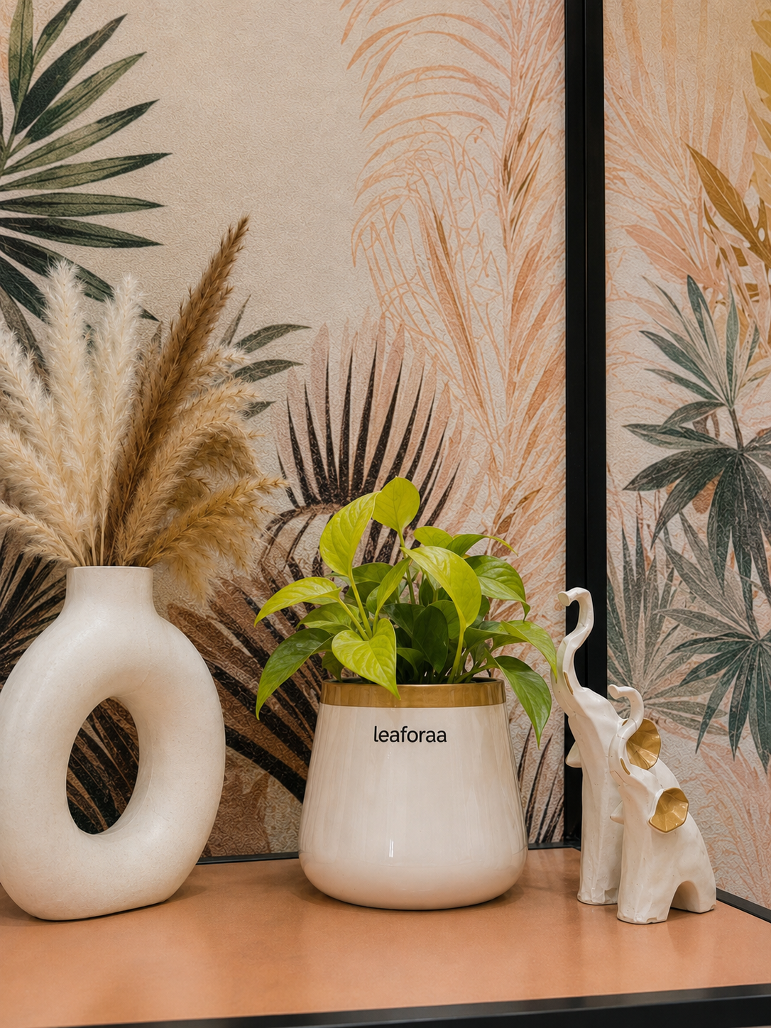 Philodendron Ceylon Golden