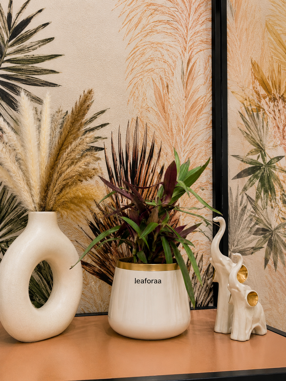Oyster Plant
