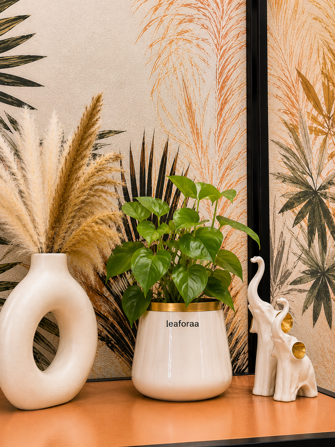 Betel Leaf Plant