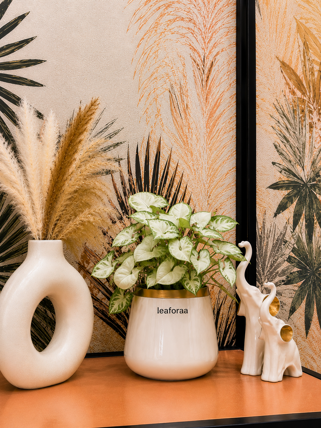 Syngonium Pixie White