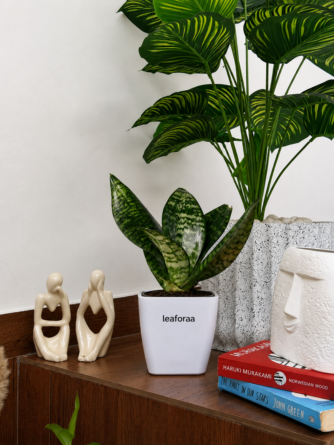 Sansevieria Green Snake Air Purifier Plant