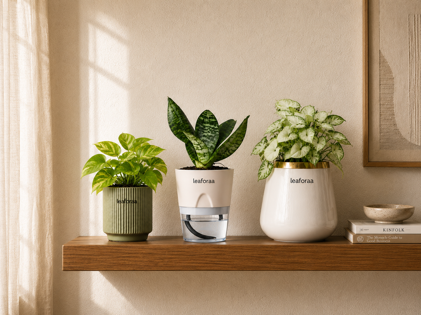 Happy Home Starter Pack — 3 Plant Bundle 🏠