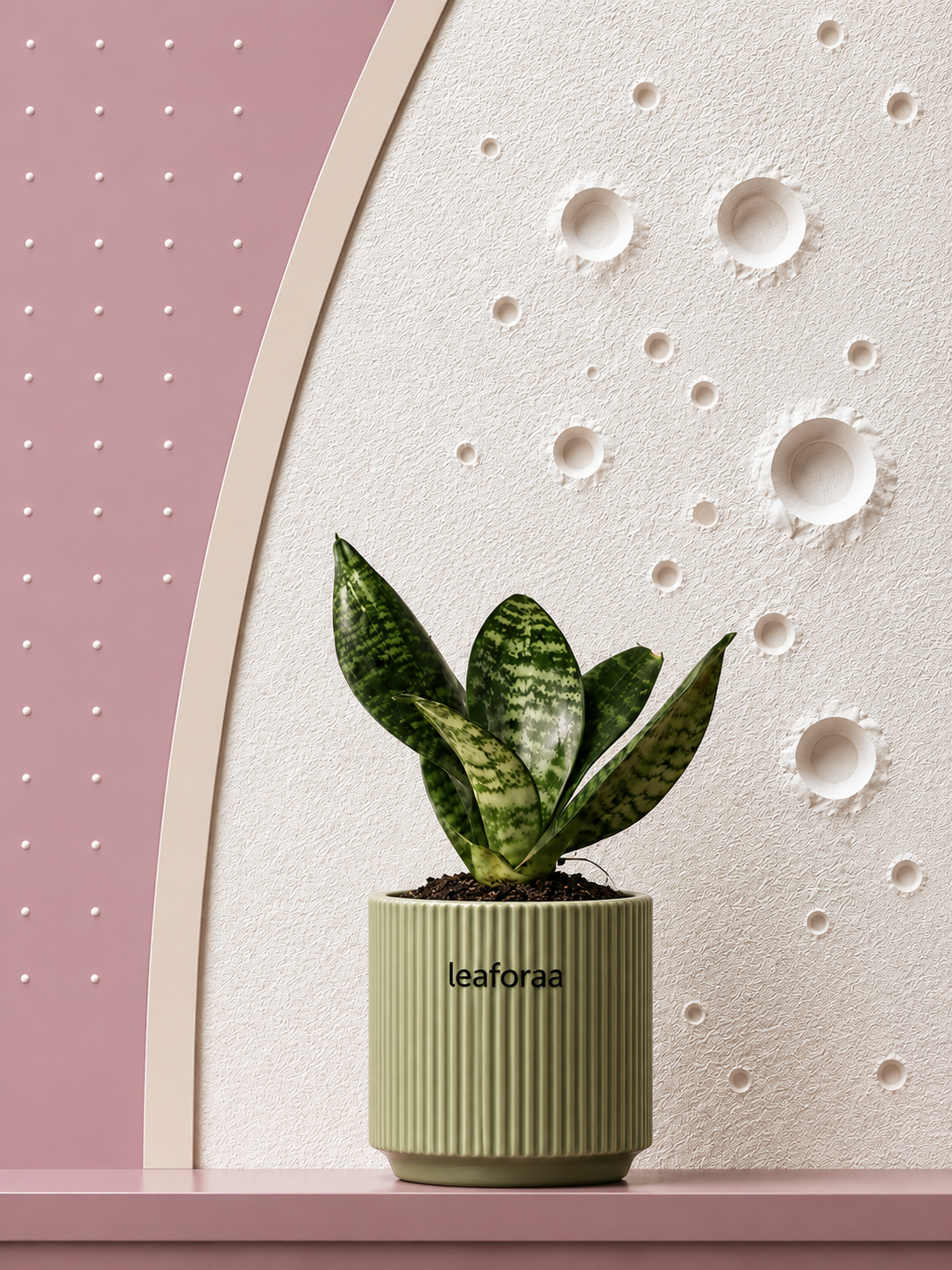 Sansevieria Green Snake Air Purifier Plant