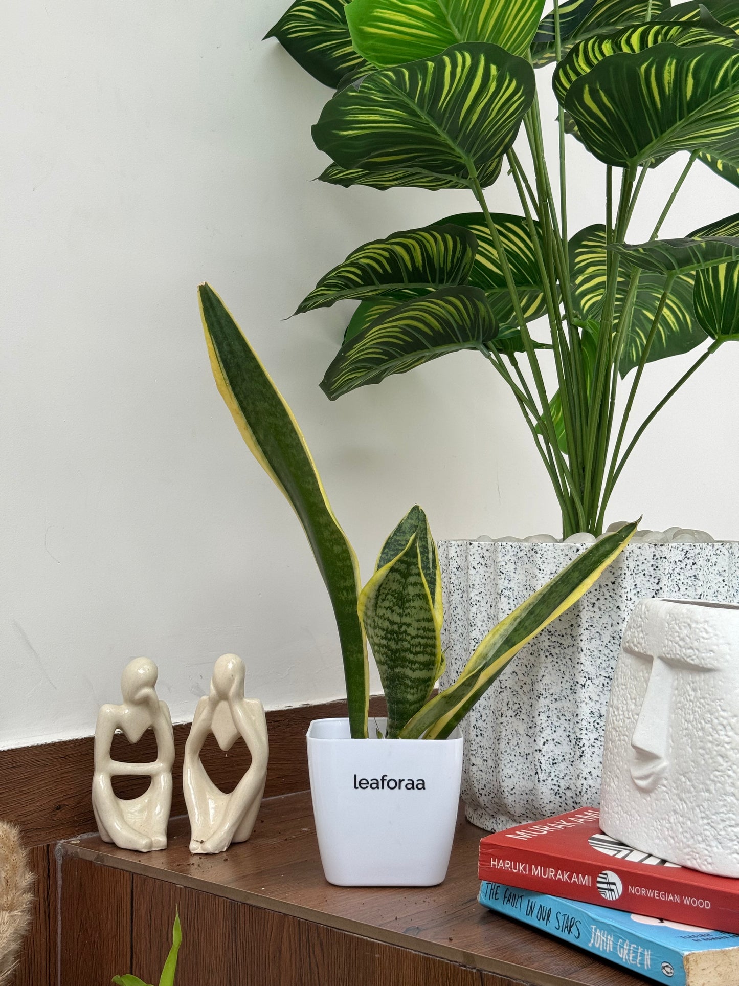 Sansevieria Green Snake Air Purifier Plant
