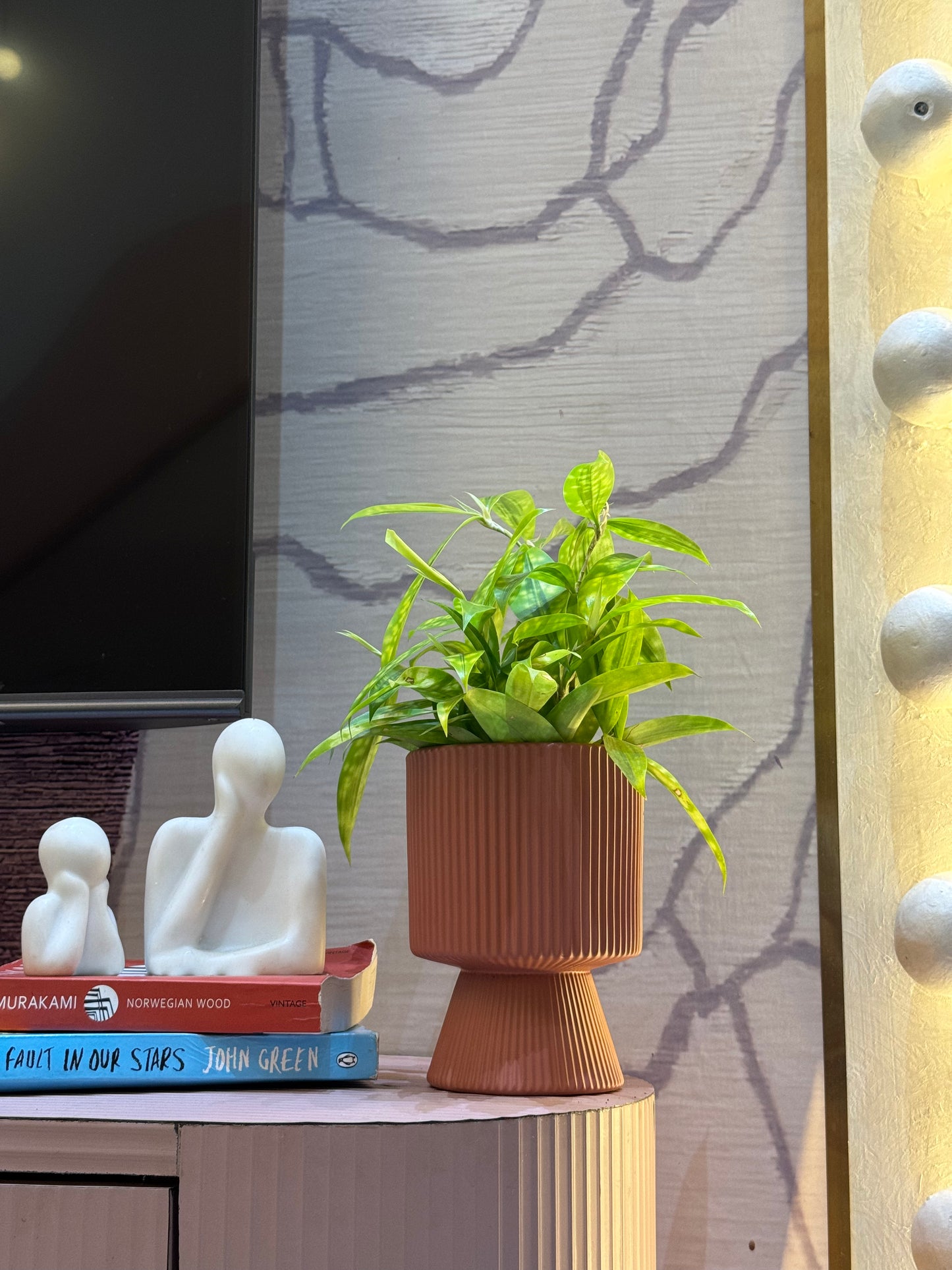 Syngonium Pixie White